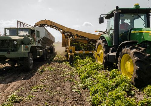 AGRICULTURE, FOOD & NATURAL RESOURCES