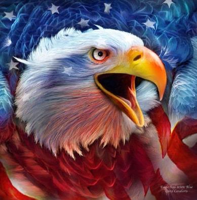 Eagle Eagle