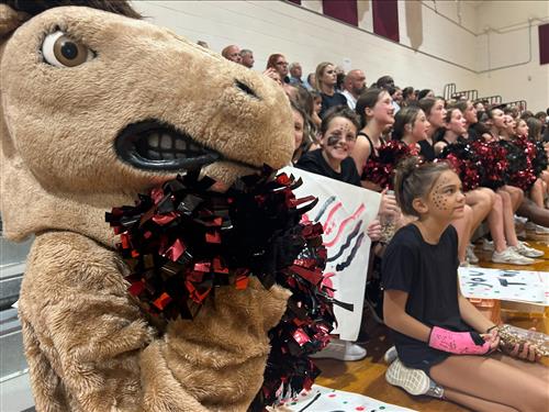 Volleyball Game 