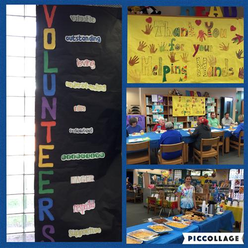 Volunteers 