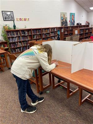 Aurora Voting