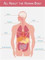 Health and Wellness 