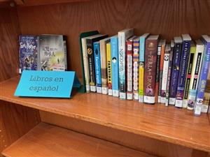 Books in Foreign Language