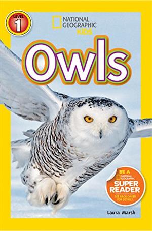 owls