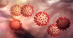 Coronavirus Image cdc.gov 