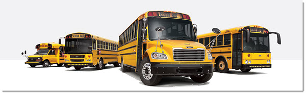 Buses 