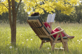 Reading 