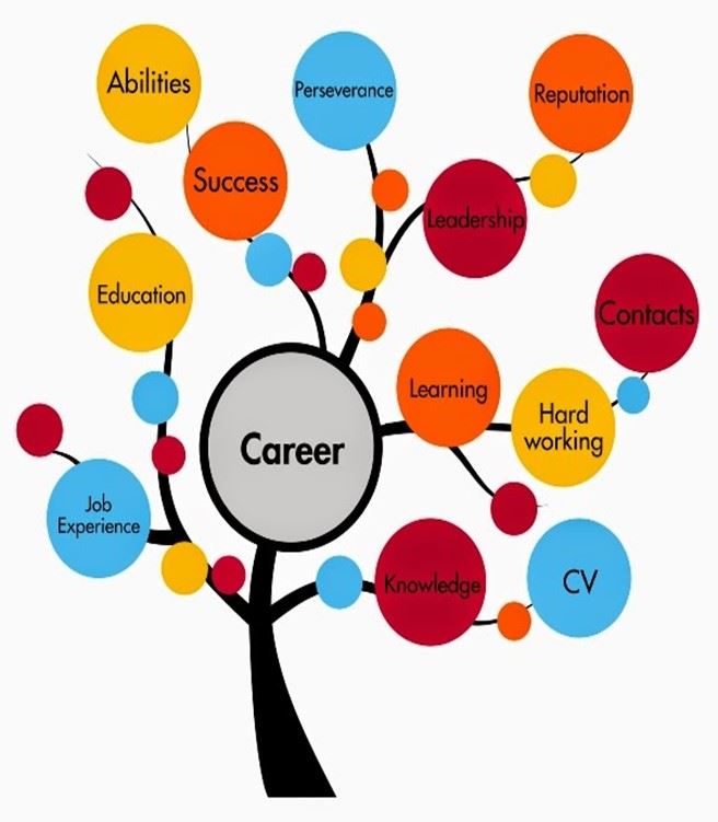 Vocational Rehabilitation Resources