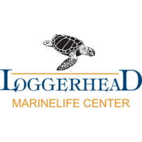 Loggerhead Marinelife Center