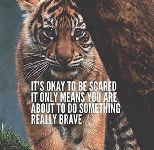 brave 