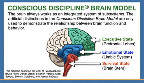 BRAIN STATE MODEL 