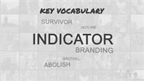  Indicators