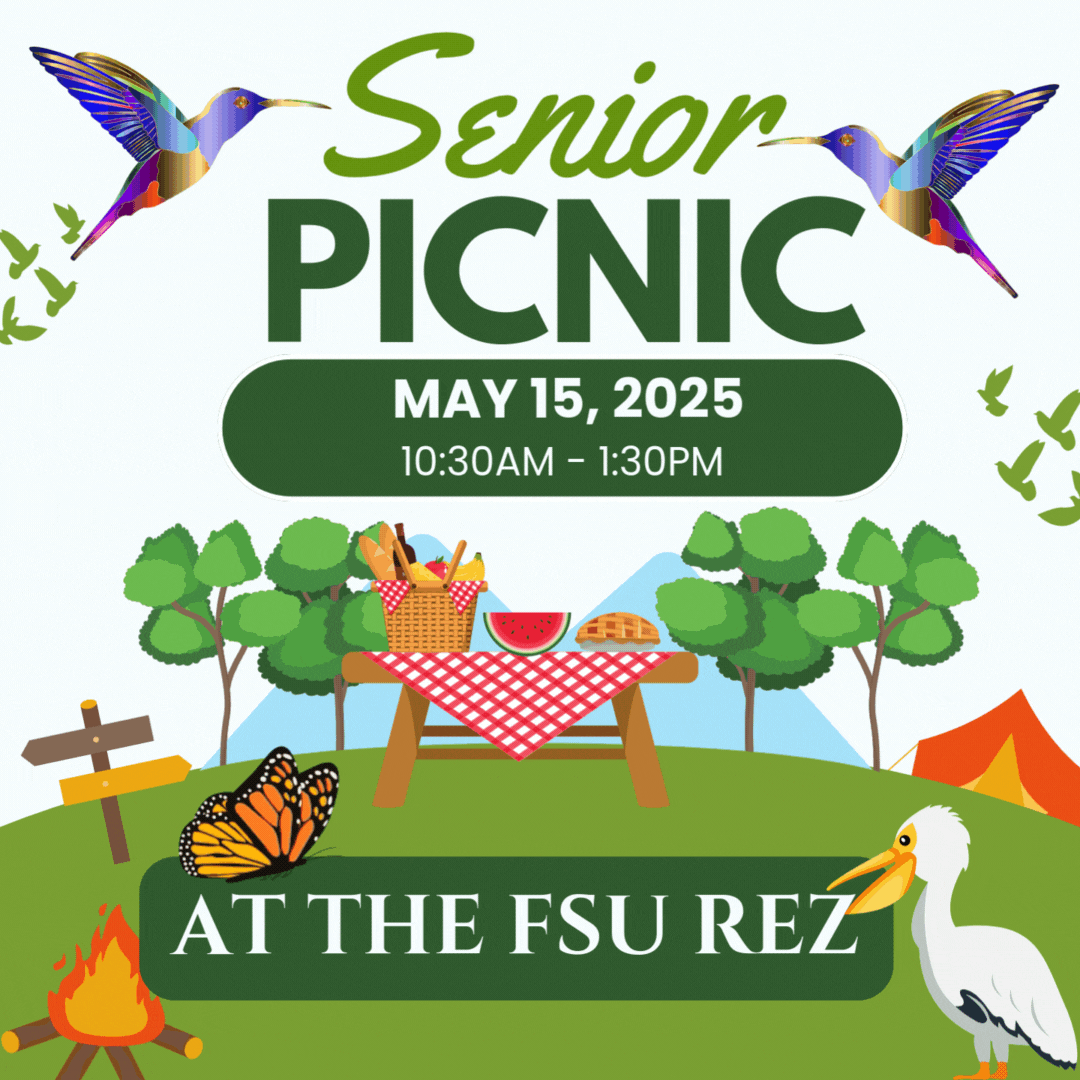 Senior Picnic