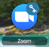Zoom 