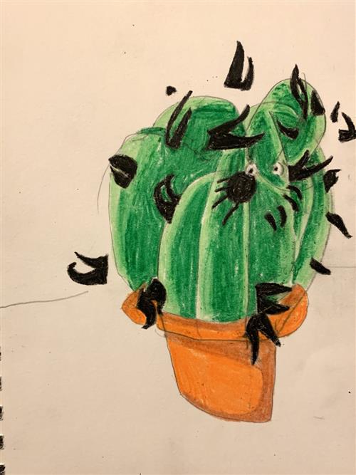 Cactus drawing 