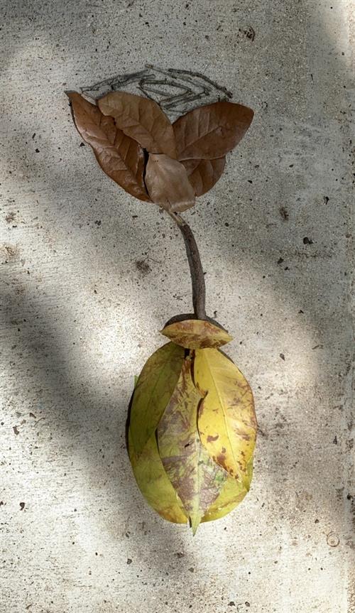 Flower from leaves and sticks 