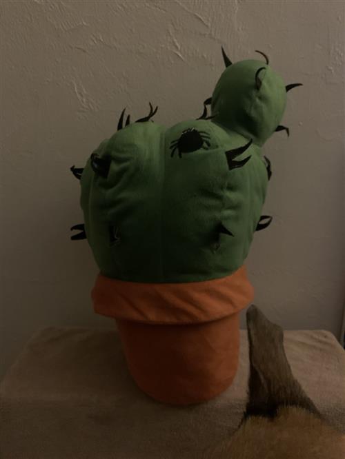 cactus pillow 