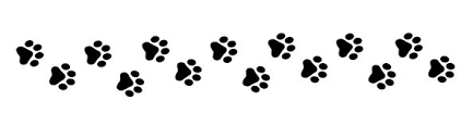paw paw