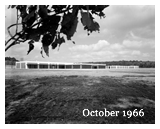 1966 