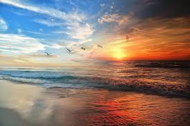 beautiful