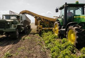  Agriculture