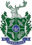 Deerlake Middle School Logo